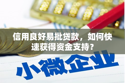 曾都信用良好易批贷款，如何快速获得资金支持？