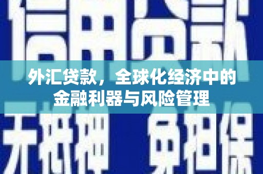 曾都外汇贷款，全球化经济中的金融利器与风险管理