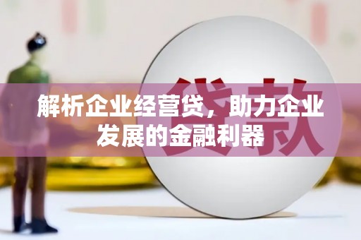 曾都解析企业经营贷，助力企业发展的金融利器