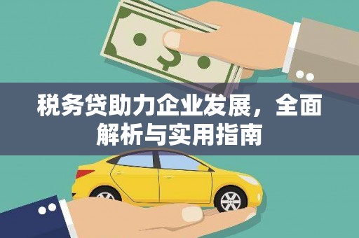 曾都税务贷助力企业发展，全面解析与实用指南