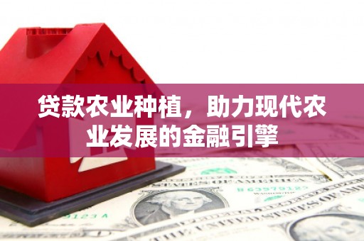 曾都贷款农业种植，助力现代农业发展的金融引擎