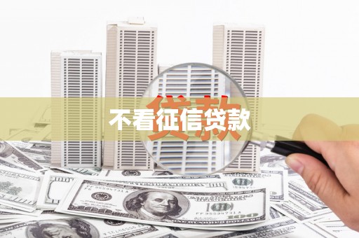 曾都不看征信贷款