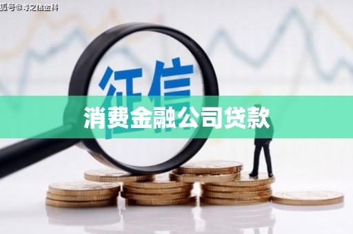 曾都消费金融公司贷款