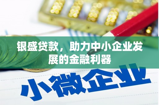 曾都银盛贷款，助力中小企业发展的金融利器