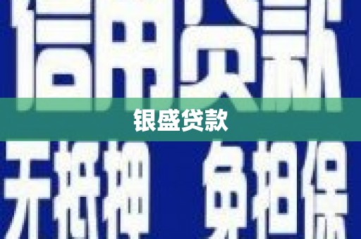 曾都银盛贷款