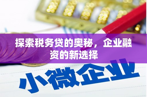 曾都探索税务贷的奥秘，企业融资的新选择