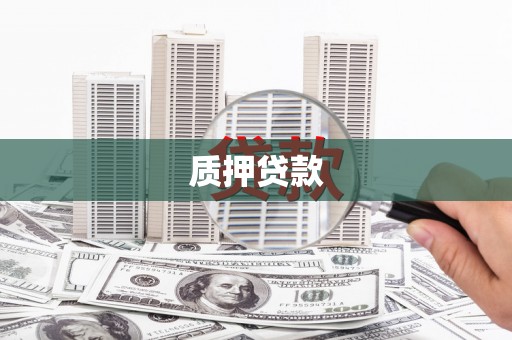 曾都质押贷款