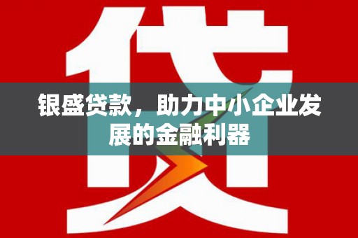 曾都银盛贷款，助力中小企业发展的金融利器