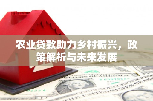 曾都农业贷款助力乡村振兴，政策解析与未来发展