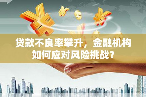 曾都贷款不良率攀升，金融机构如何应对风险挑战？