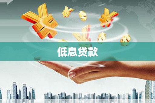 曾都低息贷款