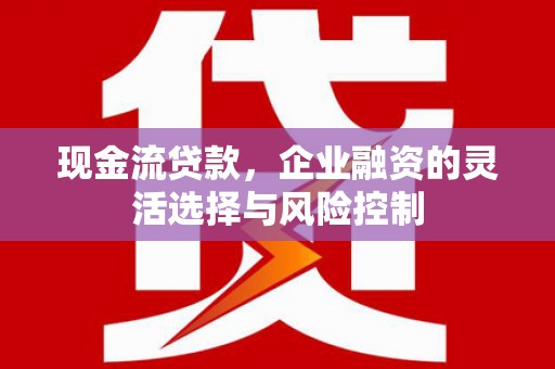 曾都现金流贷款，企业融资的灵活选择与风险控制
