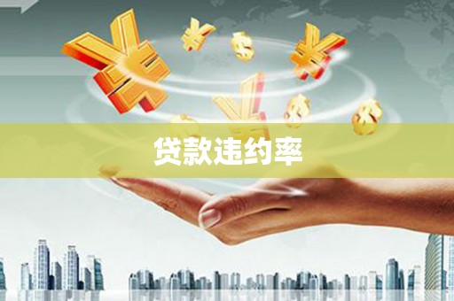 曾都贷款违约率