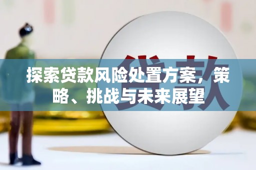 曾都探索贷款风险处置方案，策略、挑战与未来展望