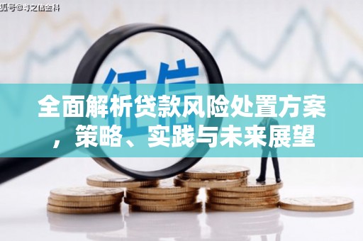 曾都全面解析贷款风险处置方案，策略、实践与未来展望