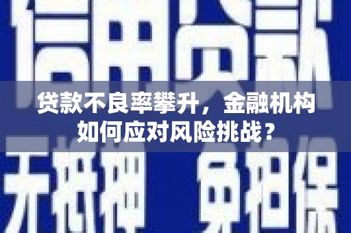 曾都贷款不良率攀升，金融机构如何应对风险挑战？