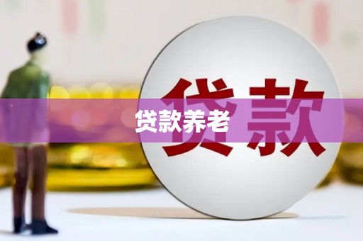 曾都贷款养老