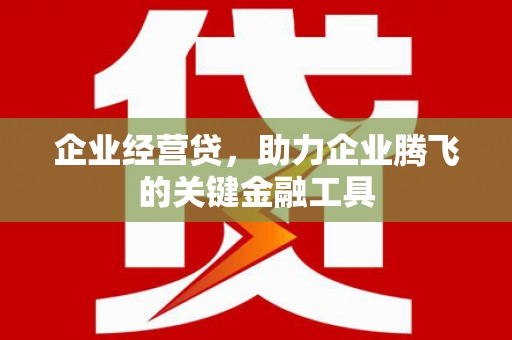 曾都企业经营贷，助力企业腾飞的关键金融工具