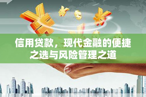 曾都信用贷款，现代金融的便捷之选与风险管理之道