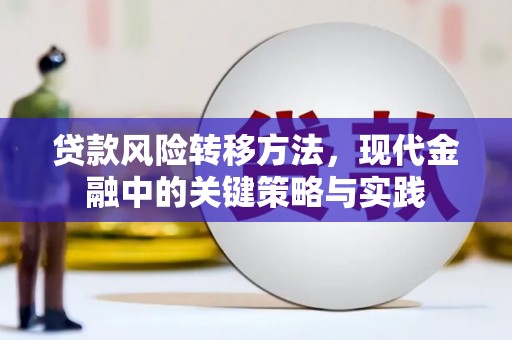 曾都贷款风险转移方法，现代金融中的关键策略与实践