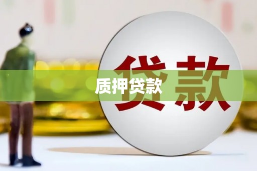 曾都质押贷款
