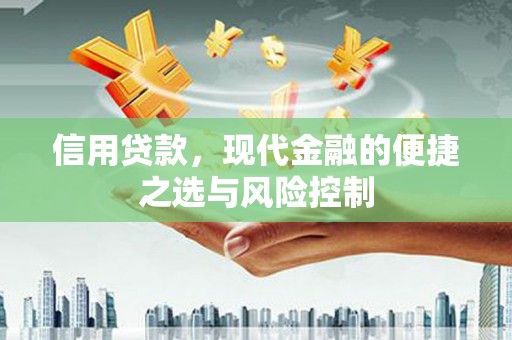 曾都信用贷款，现代金融的便捷之选与风险控制