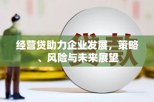 曾都经营贷助力企业发展，策略、风险与未来展望