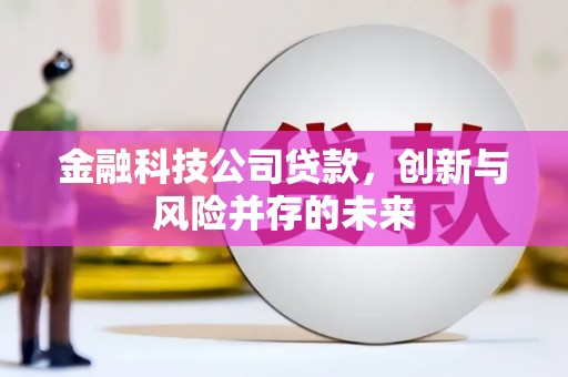 曾都金融科技公司贷款，创新与风险并存的未来