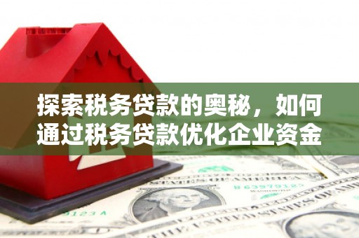 曾都探索税务贷款的奥秘，如何通过税务贷款优化企业资金流