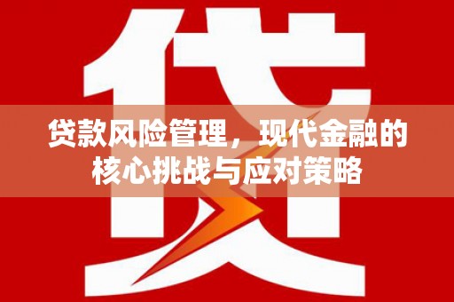 曾都贷款风险管理，现代金融的核心挑战与应对策略