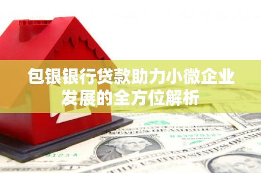 曾都包银银行贷款助力小微企业发展的全方位解析