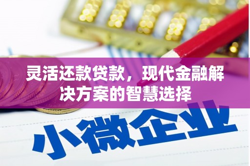 曾都灵活还款贷款，现代金融解决方案的智慧选择