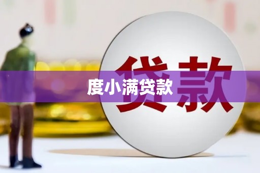 曾都度小满贷款