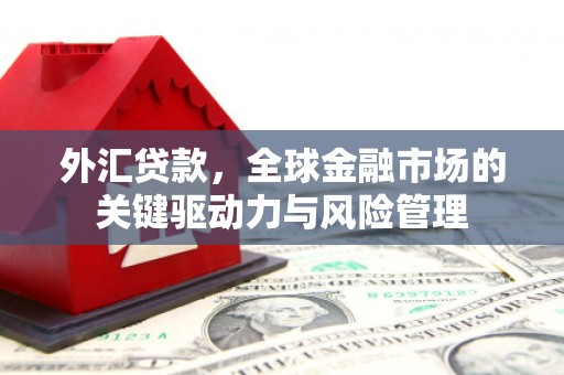 曾都外汇贷款，全球金融市场的关键驱动力与风险管理