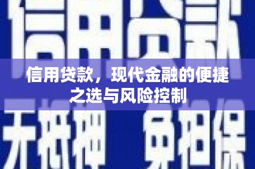 曾都信用贷款，现代金融的便捷之选与风险控制