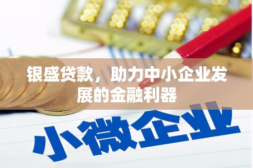 曾都银盛贷款，助力中小企业发展的金融利器