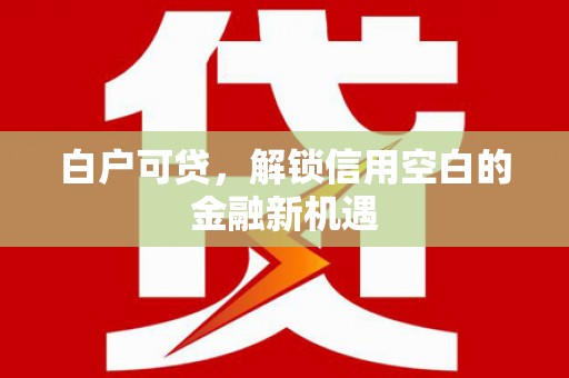 曾都白户可贷，解锁信用空白的金融新机遇