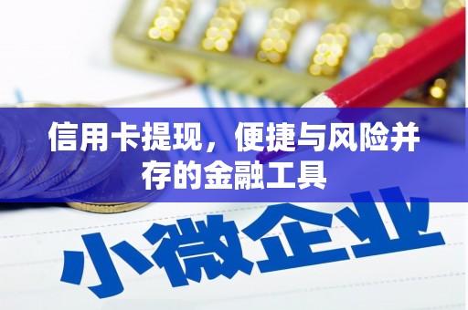 曾都信用卡提现，便捷与风险并存的金融工具