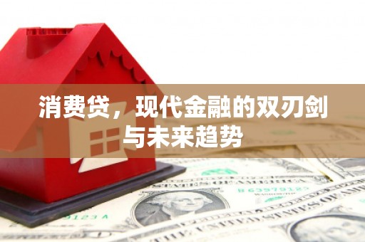 曾都消费贷，现代金融的双刃剑与未来趋势