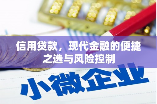 曾都信用贷款，现代金融的便捷之选与风险控制