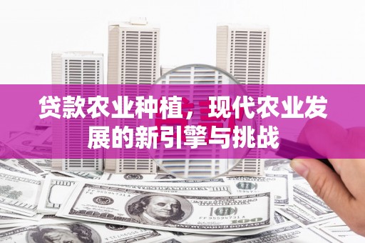 曾都贷款农业种植，现代农业发展的新引擎与挑战
