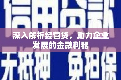 曾都深入解析经营贷，助力企业发展的金融利器