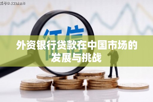 曾都外资银行贷款在中国市场的发展与挑战