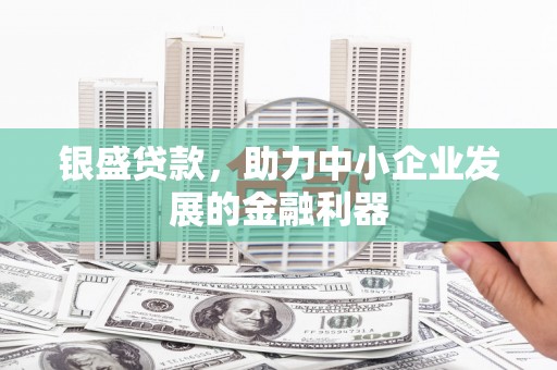 曾都银盛贷款，助力中小企业发展的金融利器