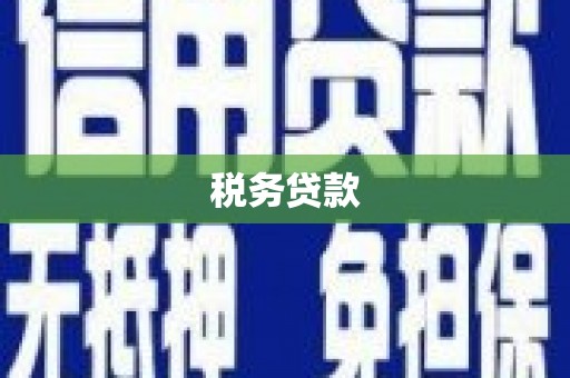 曾都税务贷款