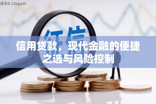 曾都信用贷款，现代金融的便捷之选与风险控制