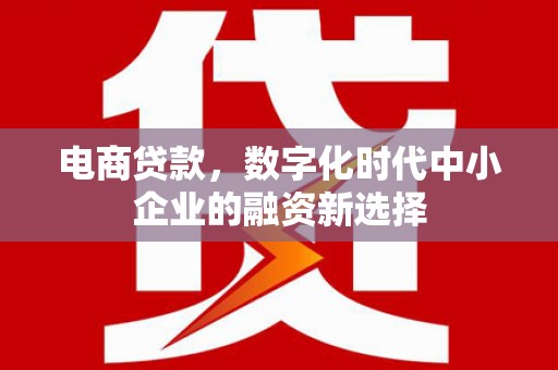 曾都电商贷款，数字化时代中小企业的融资新选择