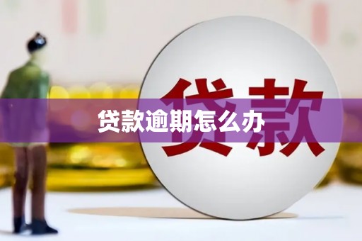 曾都贷款逾期怎么办