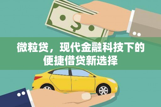 曾都微粒贷，现代金融科技下的便捷借贷新选择