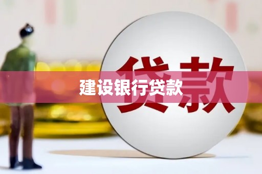 曾都建设银行贷款